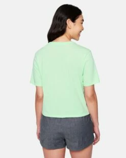 Nicks Cropped Crew Short Sleeve T-Shirt 9 Nicks Cropped Crew Short Sleeve T-Shirt -HURLEY Sales 3hs1570646 mist green 2